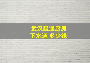 武汉疏通厨房下水道 多少钱